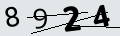 verifycode